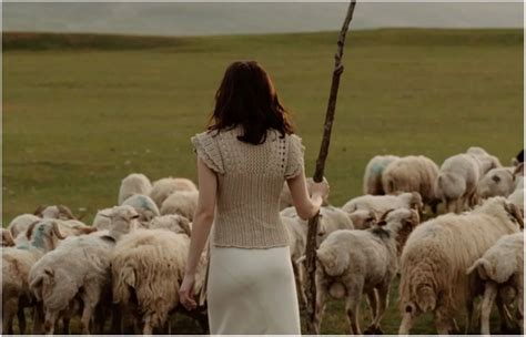 Psalm 23 4 Explained Differentiating The Shepherds Rod And Staff