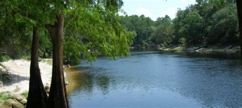 Live Oak Florida - Things to Do & Attractions in Live Oak FL | Live oak ...