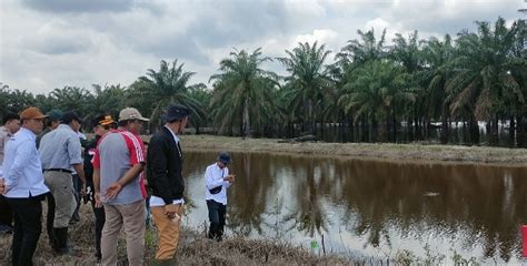 Hasil Cek Lapangan Tim Pemkab Muba Temukan Dugaan Pelanggaran PT Wana