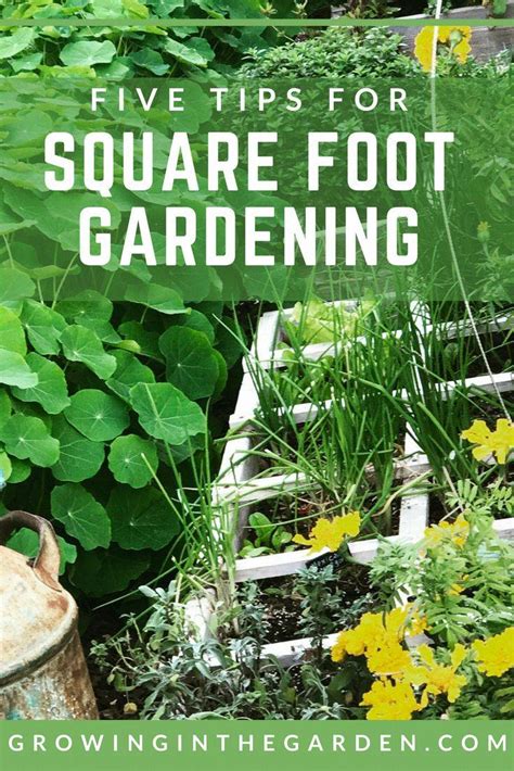 18 Square Foot Gardening Basics Ideas To Consider Sharonsable