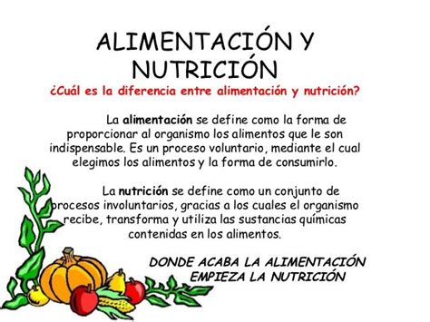 ¿cuál Es La Diferencia Entre Alimentación Y Nutrición Bien Explicado Alimentacion Equilibrada