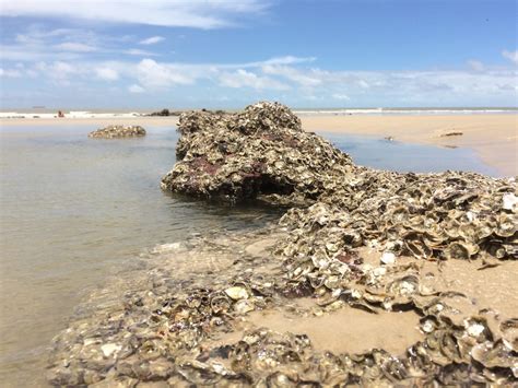 As 10 melhores praias de São Luís do Maranhão Imperio das Milhas