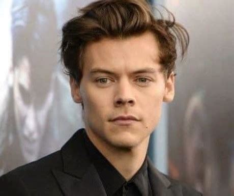 Harry Styles cumple 30 años ex integrante de One Direction POSTA