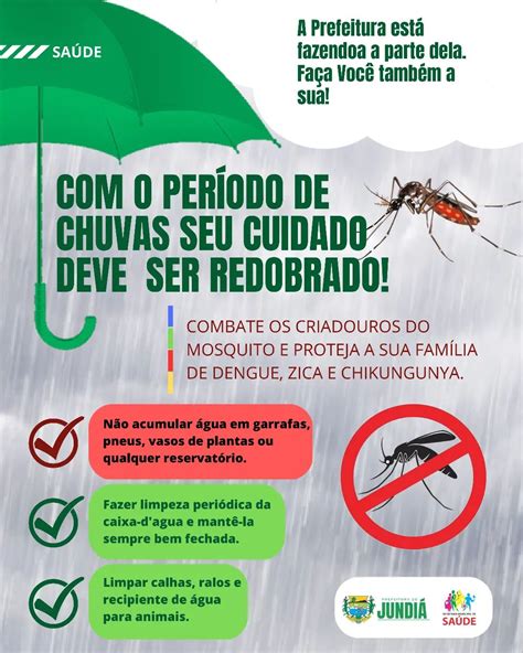 Cuidados Para Evitar A Dengue Devem Ser Redobrados Em Períodos De