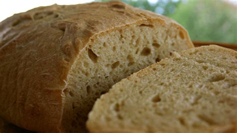 easy bread recipe  yeast  knead ciabatta