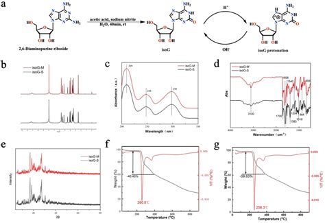 LargeScale Synthesis Of HighPurity Isoguanosine And Resolution Of Its