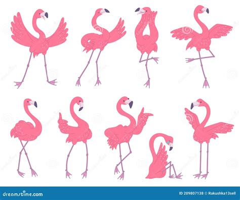 Cute Pink Flamingos With Different Emotions Set African Birds Cartoon