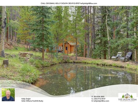 Conifer, CO Real Estate - Conifer Homes for Sale | realtor.com®