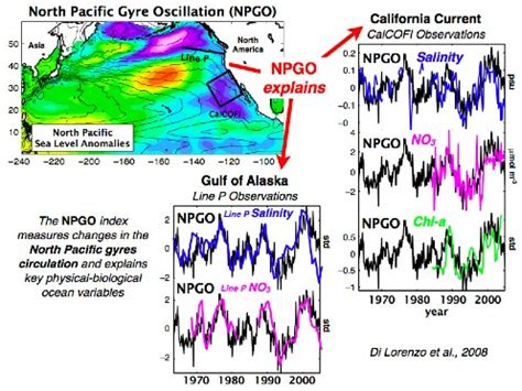 The North Pacific Gyre Oscillation Links Ocean Climate and Ecosystem Change - Scitizen