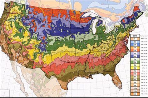 Usda Hardiness Zones Map Everything Backyard