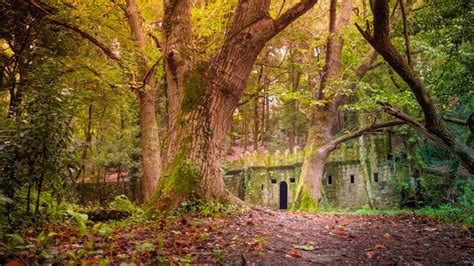 Los Tesoros Ocultos De La R A De Ald N Entre Bosques Encantados Y