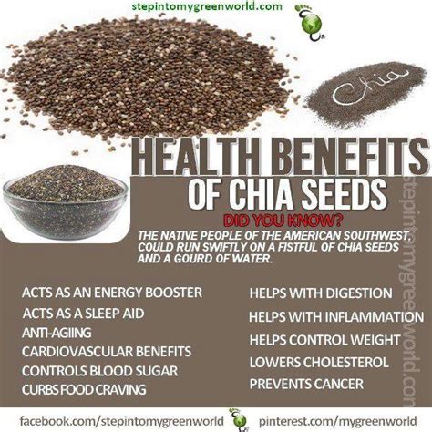 Chia Seeds Benefits Encyclopedia Of Food For Health And Well Being