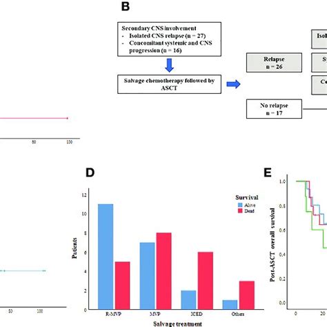 Outcome Of Asct For Secondary Cns Involvement A Progression Free