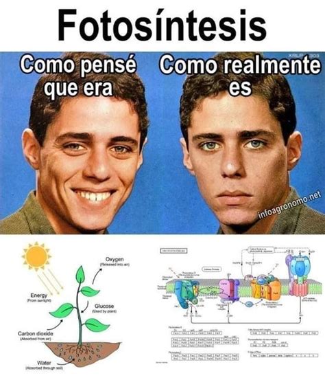 La realidad e la fotosíntesis banda Meme subido por k1ZUL Memedroid