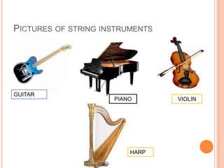 Musical instruments | PPT