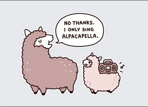 28 best Alpaca Memes images on Pinterest | Funny pics, Funny stuff and Alpaca funny