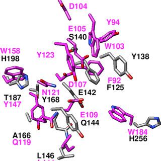 Structural Alignment Of Predicted Residues For YP 001304206 1 Gray