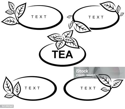 Green Tea Leaves Set Collection Green Tea Leaves Frame Vector Stock