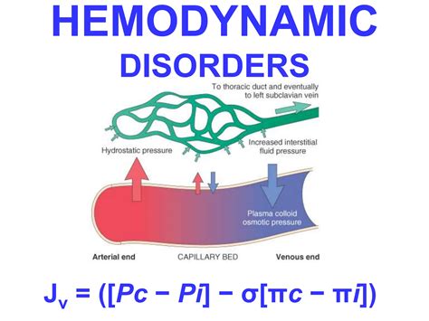 Ch4 Hemodynamic Ppt By 2024 Pathology Ppt