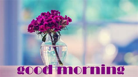 Good Morning With Beautiful Purple Flowers - Good Morning Wishes & Images