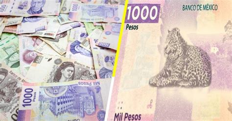 ¡revolucionario Así Será El Nuevo Billete De Mil Pesos