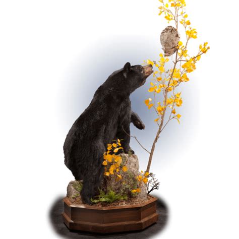 North America Taxidermy Gallery Kanati Studio Deer Hunting Tips Bear