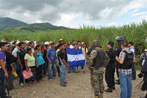 Honduras Un Espacio Refundacional Para Resolver El Problema Agrario