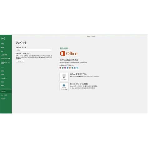 Microsoft Office Professional Plus For Window