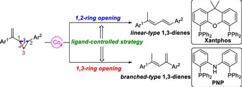 Ligand Controlled Cobalt Catalyzed Regiodivergent And Stereoselective