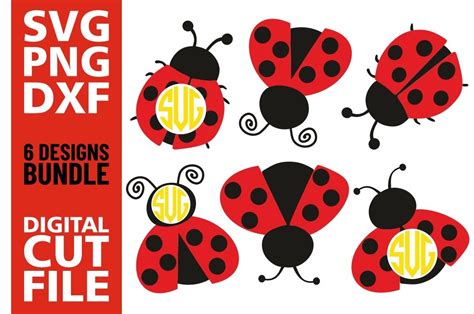 6x Ladybug Bundle Svg Insect Ladybug Monogram Silhouette 352920