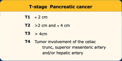 The Radiology Assistant Pancreatic Cancer Ct Staging 2 0