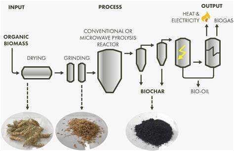 The Basics Of Biochar Spacebakery