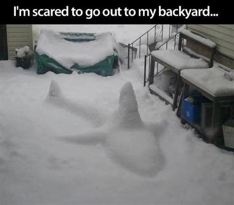 Cute and Funny Pictures and more: Snow Shark in Backyard