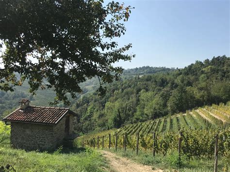 Castello Di Perno A Monforte D Alba Prenota La Tua Visita In Piemonte