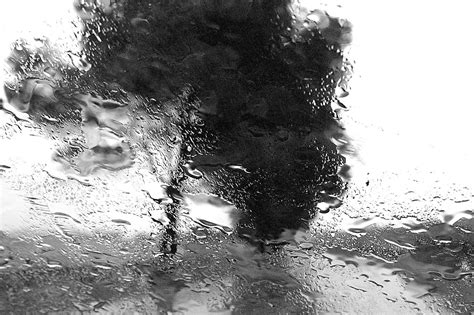 Abbas Kiarostami: Rain photographs | Rain photo, Contemporary ...