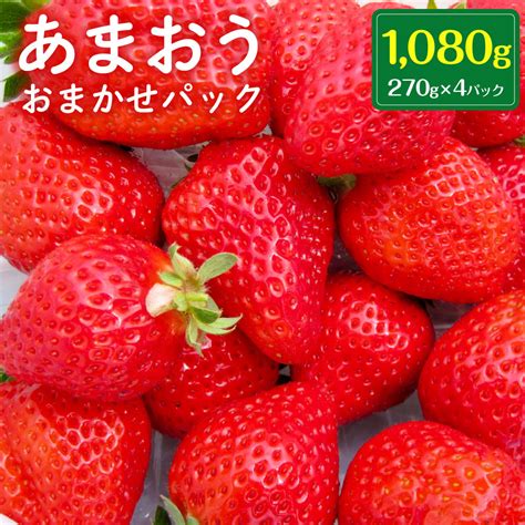 【楽天市場】【ふるさと納税】【2024年1月上旬より順次発送】【先行予約数量限定】あまおう おまかせパック 合計1080g（270g×4