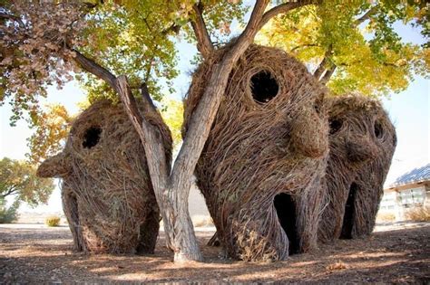 Patrick Doughertys Twig Sculptures Amusing Planet