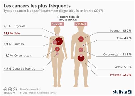 Les cancers les plus fréquents en France