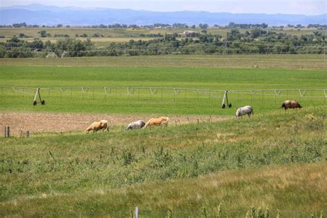 What A South Dakota Cowboy Buys With His Million Powerball Lottery