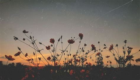 by Nada Gamal on Quick saves | Background facebook cover, Aesthetic ...