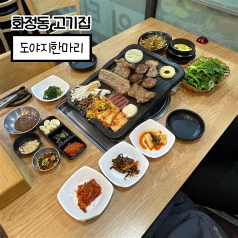 광주 화정동 고기집 워터에이징 숙성 짚불 초벌구이 가성비 맛집 도야지한마리 네이버 블로그