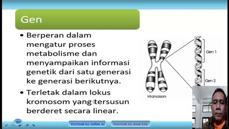 Bab 3 Substansi Materi Genetik Bio 12 Sma Youtube