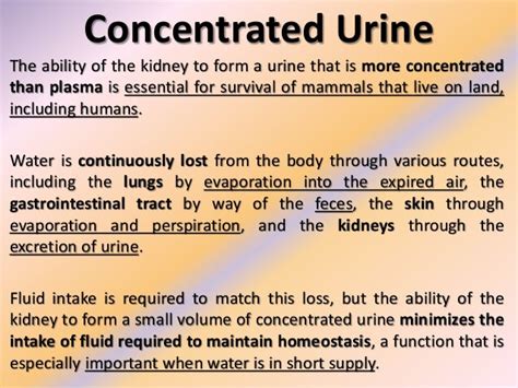 Urine concentration