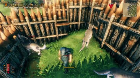 Comment Apprivoiser Tous Les Animaux Dans Valheim Comment Obtenir Du