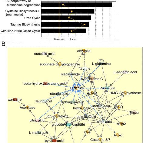 Ingenuity Pathway Analysis Ipa Analysis A Top Canonical Pathways