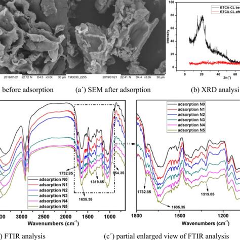 SEM XRD And FTIR Analysis Of BTCA CL Bio Adsorbent Before And After