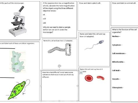 Imans Home School Key Stage Science Revision Ks Science Revision