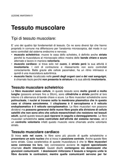 Lezione 9 Anatomia Lezione Anatomia 9 Tessuto Muscolare Tipi Di Tessuto Muscolare Uno Dei