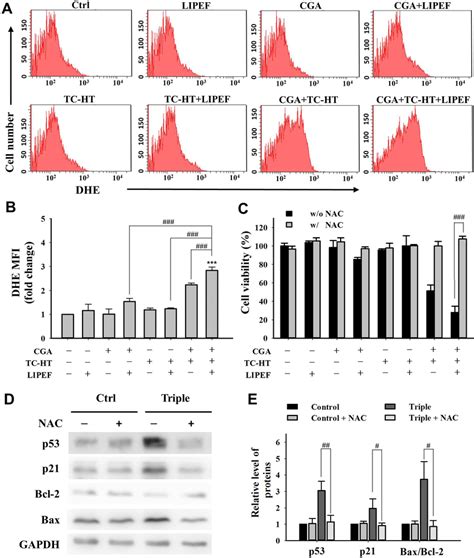 Combined Effects Of Cga Tc Ht And Lipef On Ros Generation In Panc