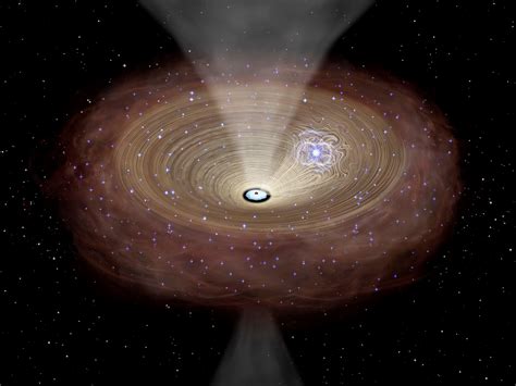 Growth of supermassive black holes driven by dense molecular gas discs ...